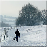SO9095 : Across the snow  to Penn Common, Staffordshire by Roger  Kidd