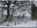 Footpath crosses Green Lane