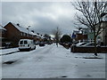 Looking from Central Road down a snowy Lealand Road