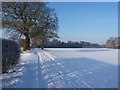 Bridleway towards Pearse Hay Farm