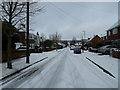 Mid section of a snowy Lealand Road