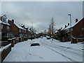 Looking south-west down Lealand Road