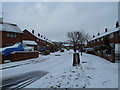 December snow in Copsey Grove