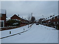 Looking north in a snowy Copsey Grove