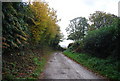 Sussex Border Path south of Union Street