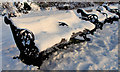 Snow-covered seats, Belfast