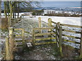 Bridleway and footpath junction near Etherley