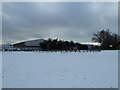 A snowy recreation ground in Eastern Road (4)