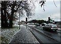 A snowy scene in Fitzherbert Road (2)