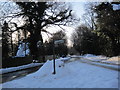 Road Junction near Shepherd