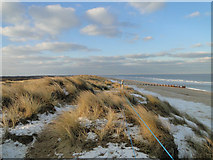 TG4624 : From the dunes at Horsey Gap looking north by Adrian S Pye