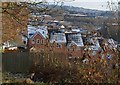 Houses on Curlew Close