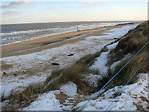 TG4624 : Snowy beach and grey seals at Horsey Gap by Evelyn Simak