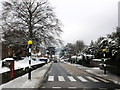 Townsend Road, after snowfall