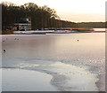 Ice on Rollesby Broad