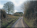 Lane near Maerdy Farm