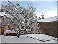 The old chapel of St. Thomas of Canterbury, Ludlow in the snow