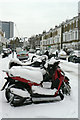 Arlington Gardens in the snow