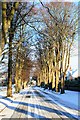 Chessel Avenue with a dusting of snow