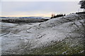 Sheep tracks on the hillside