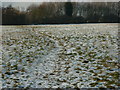 A footpath to Beverley