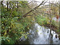 Stream near Garnet Street