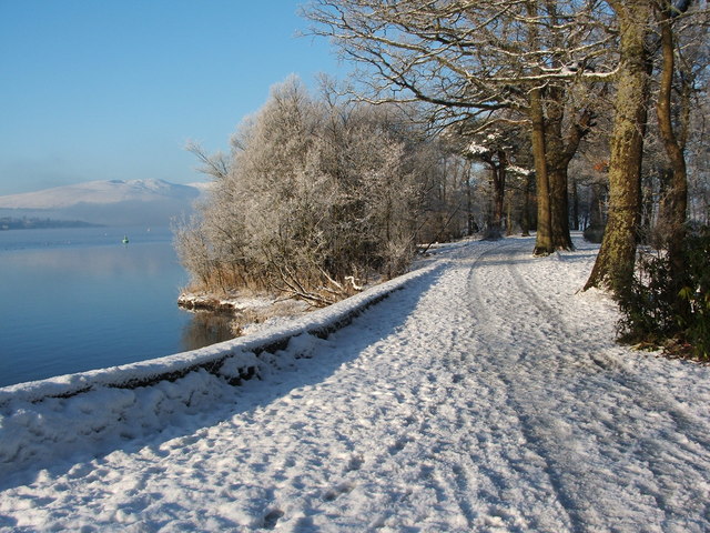 Path in Balloch Castle Country Park
