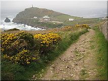 SW3531 : Coast path south of Cape Cornwall by Philip Halling