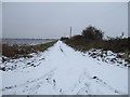 TF4918 : Snow covered track, Follens Road near Walpole St Andrew by Richard Humphrey