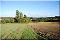 Path by a ploughed field near Peasmarsh