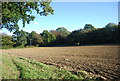 Ploughed field near Peasmarsh