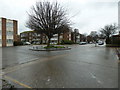 TQ1203 : Traffic island in front of Durrington-on-Sea Station by Basher Eyre