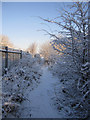 Footpath to Saltney Quay