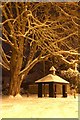 Shelter in the snow