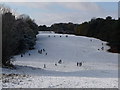 Queen?s Park: sledging on the golf course