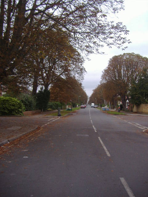 The Avenue Sunbury
