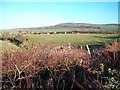 Farmland north of the Felin Uchaf Road