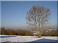 Stockwood, Midday, Christmas Day 2010