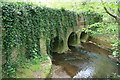 Stream, Clasford Bridge