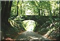 Country Lane leading down to Trottiscliffe from A227 at Vigo