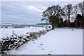 Snowy fields east of Airlie