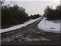 Road on The Warren near Oakhanger