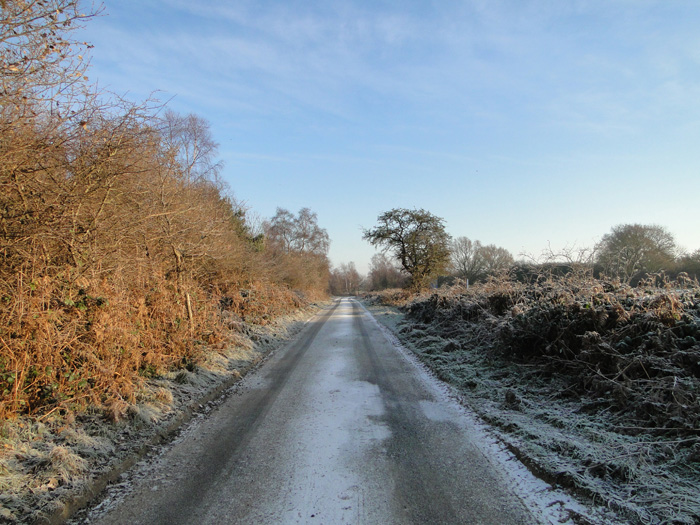 Road From Westwood Lodge To Walberswick © Adrian S Pye :: Geograph 