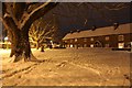 SU5886 : The Forty on a winter night by Bill Nicholls