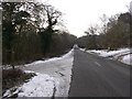 The road across Shortheath Common