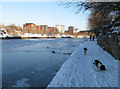 Frozen canal