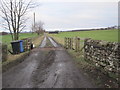 Track towards Shaftoe Moor