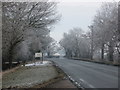 Looking east along B1230 to Gilberdyke