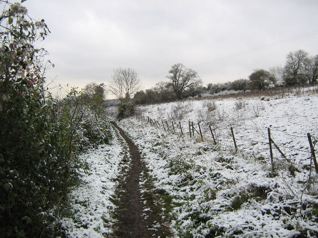 Path from Prior's Wood