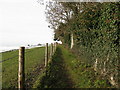 Footpath to Slindon